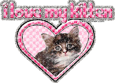 Love My Kitten